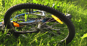 Foto: pixelio.de - Rainer Sturm