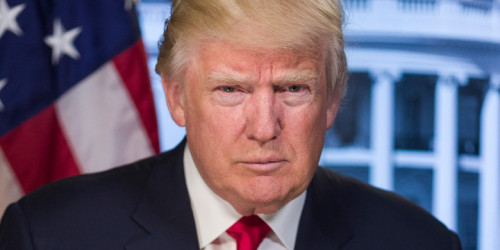 US-Pr&auml;sident Donald Trump, Offizielles Portrait