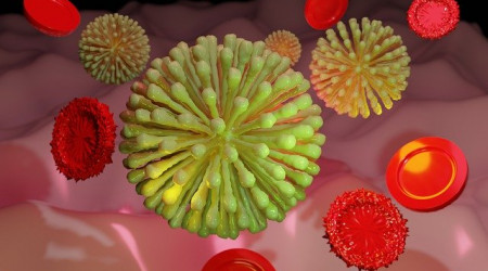 Foto: Bild von skylarvision auf Pixabay 