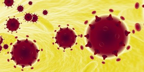 Corona-Virus