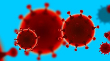 Foto: Bild von Vektor Kunst auf Pixabay 