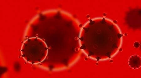 Foto: Bild von Vektor Kunst auf Pixabay 