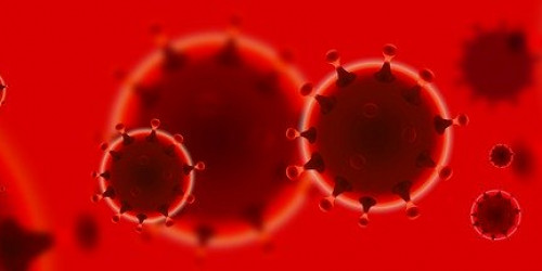 Corona-Virus