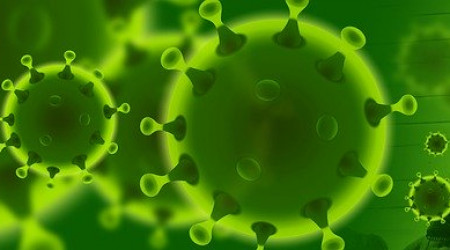 Foto: Bild von Vektor Kunst auf Pixabay 