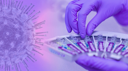 Foto: Bild von fernando zhiminaicela auf Pixabay 