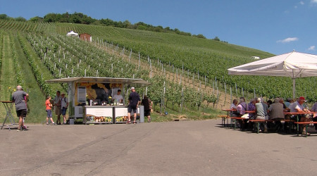 Albgemacht Genusswanderung (Quelle: RTF.3)