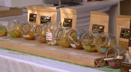 Der Goldene Oktober in Rottenburg lockt am Sonntag (Quelle: RTF.3)