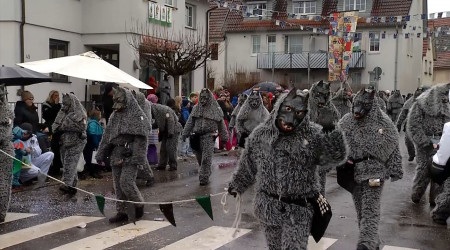 Narrenumzug Wurmlingen (Quelle: RTF.3)