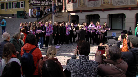 Marktspektakel internationaler Frauentag T&uuml;bingen (Quelle: RTF.3)