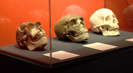 Sonderausstellung die Macht des Feuers (Quelle: RTF.3)