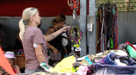 Foto: RTF.1
