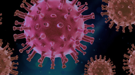 Coronavirus (Quelle: Bild von Pixabay )
